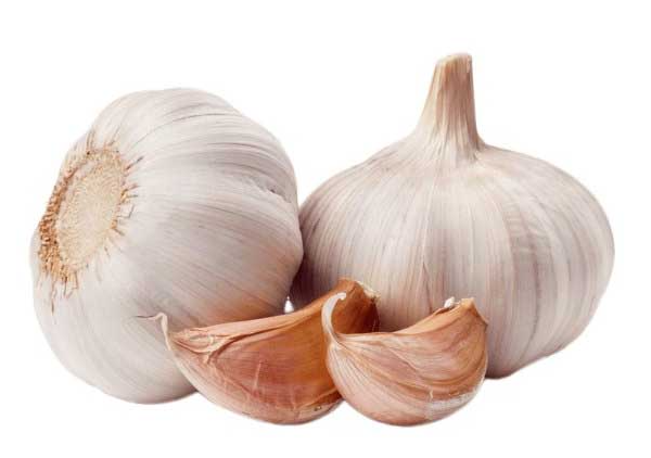 Garlic