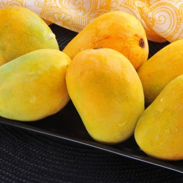 Anwar Retol MANGUE Pakistan